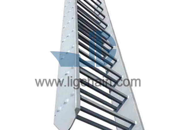 Marine Vertical Ladder 